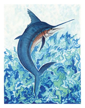 Blue Marlin Print