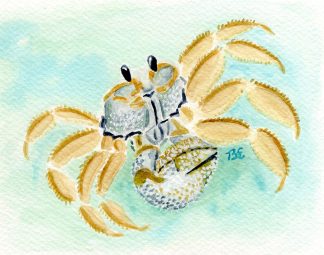 Ghost Crab Print