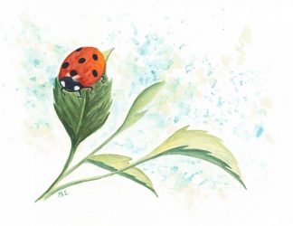 Ladybug on a Leaf Print