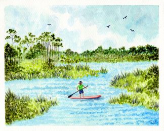 Paddleboard in South Walton