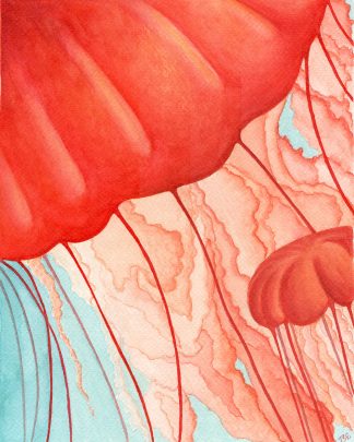 Red Jellies Print