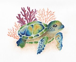 Turtle with Coral Print