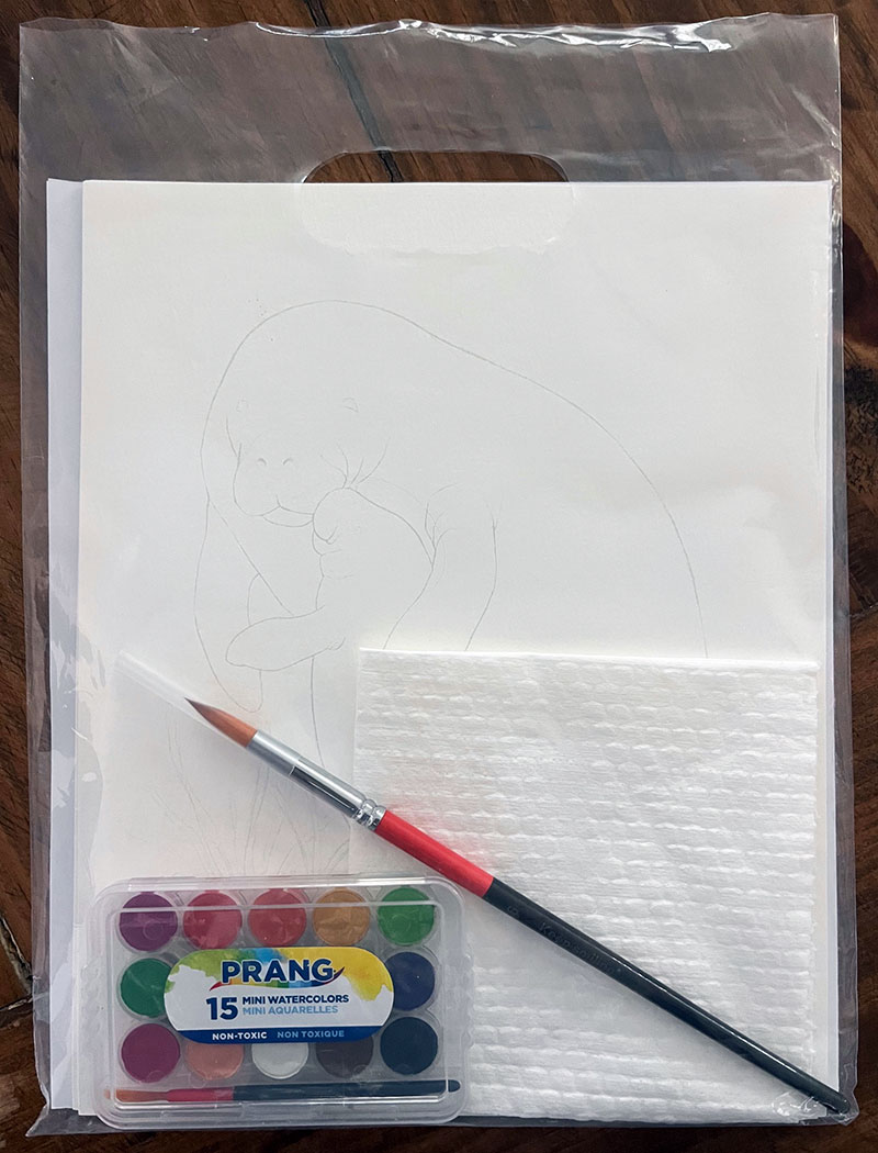 Watercolor Painting Kits - NEW! - Image 6