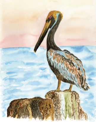 Pelican at Sunset Print