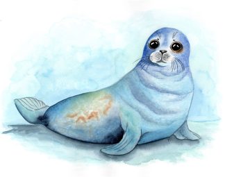 Seal Print