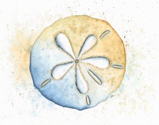 Coastal Sand Dollar Print